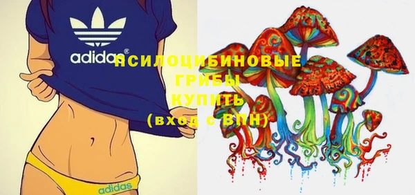 apvp Белоозёрский